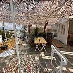 The Garden House *