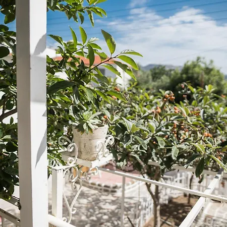 The Garden House *