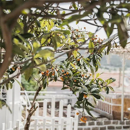 The Garden House Kavala