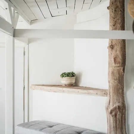 The Garden House *