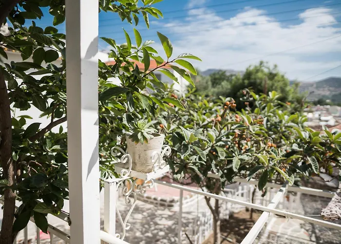 The Garden House *